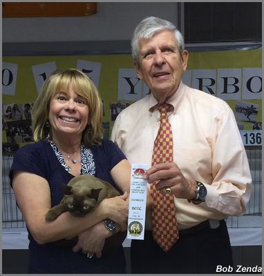 De Bears Call Me, Blondie